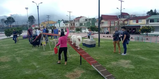 SUBDIRECCION DE DESARROLLO SOCIAL